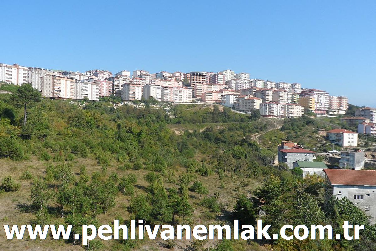 Alaplı Satılık Daire Alaplı Kiralık Daire Pehlivan Emlak