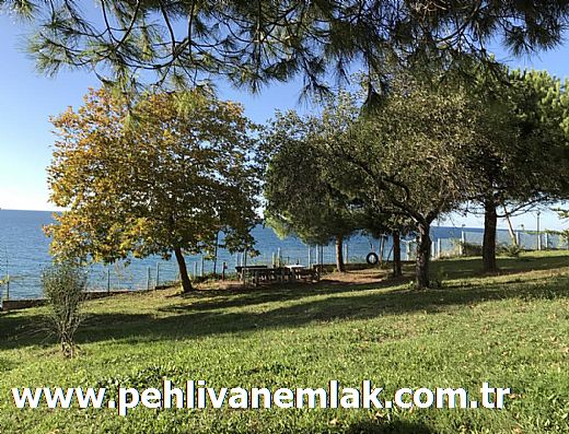 Hayalinizdeki Eve Bizimle Ulan
