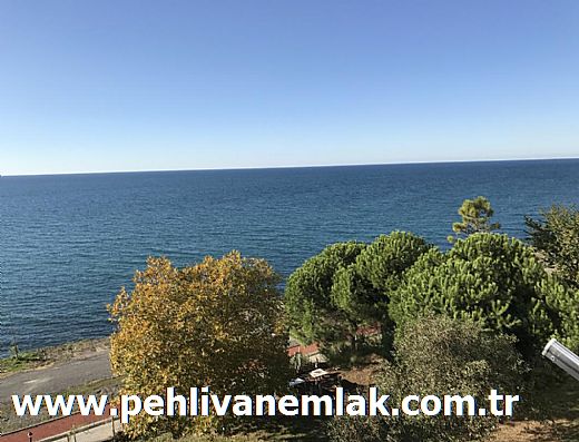 Hayalinizdeki Eve Bizimle Ulan