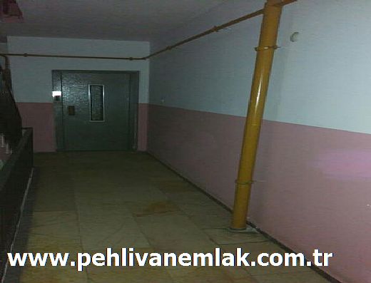 Hayalinizdeki Eve Bizimle Ulan