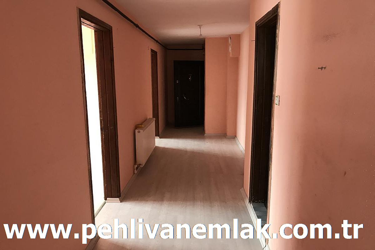 Alaplı Satılık Daire Alaplı Kiralık Daire Pehlivan Emlak Alaplı
