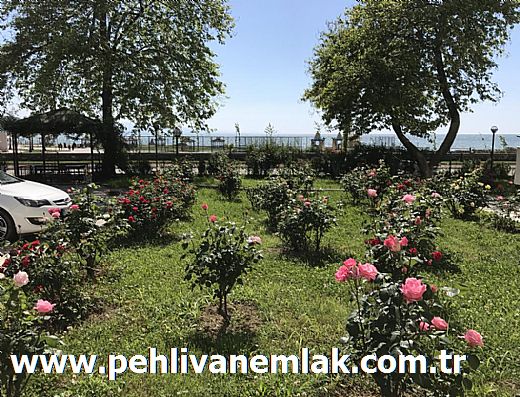 Hayalinizdeki Eve Bizimle Ulan
