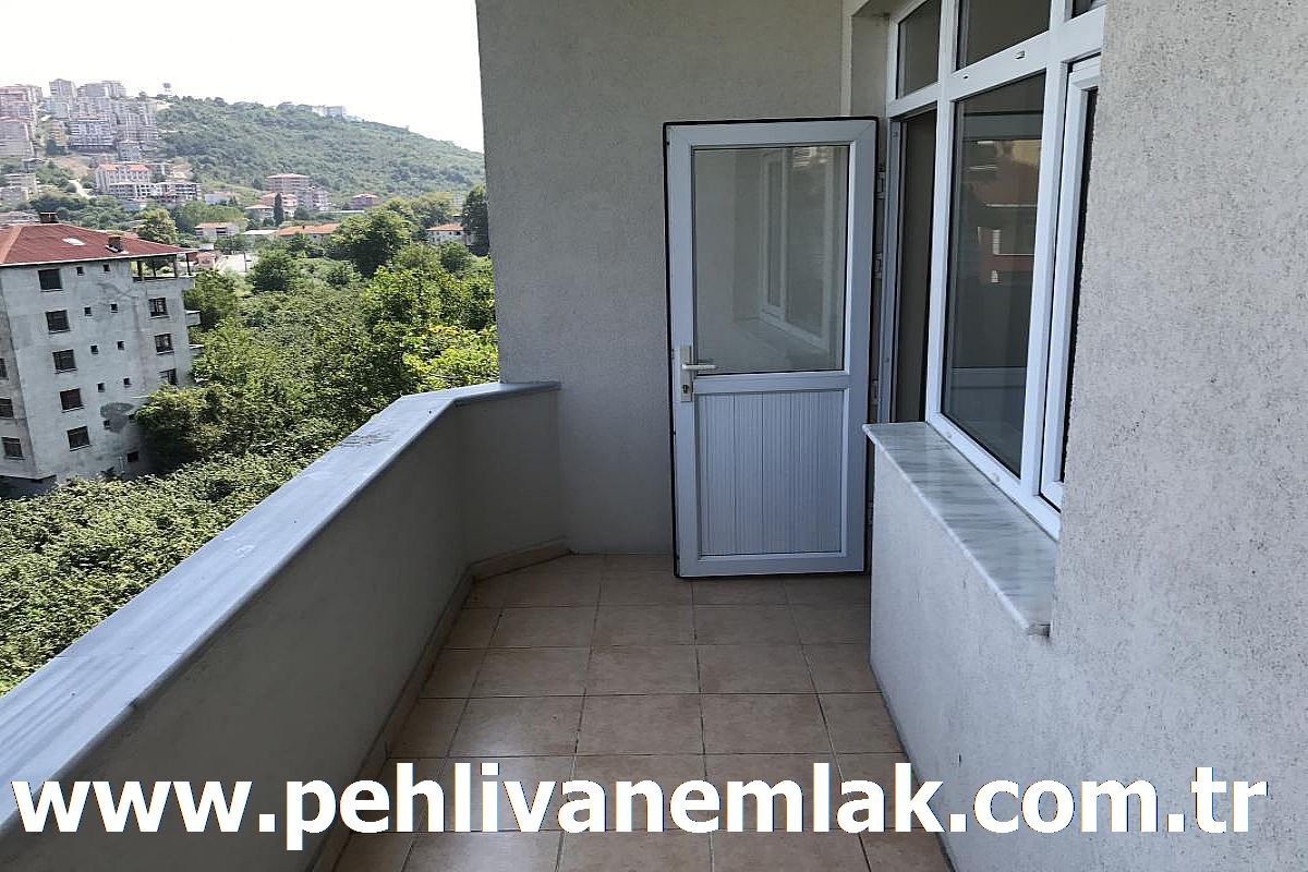 Alaplı Satılık Daire Alaplı Kiralık Daire Pehlivan Emlak