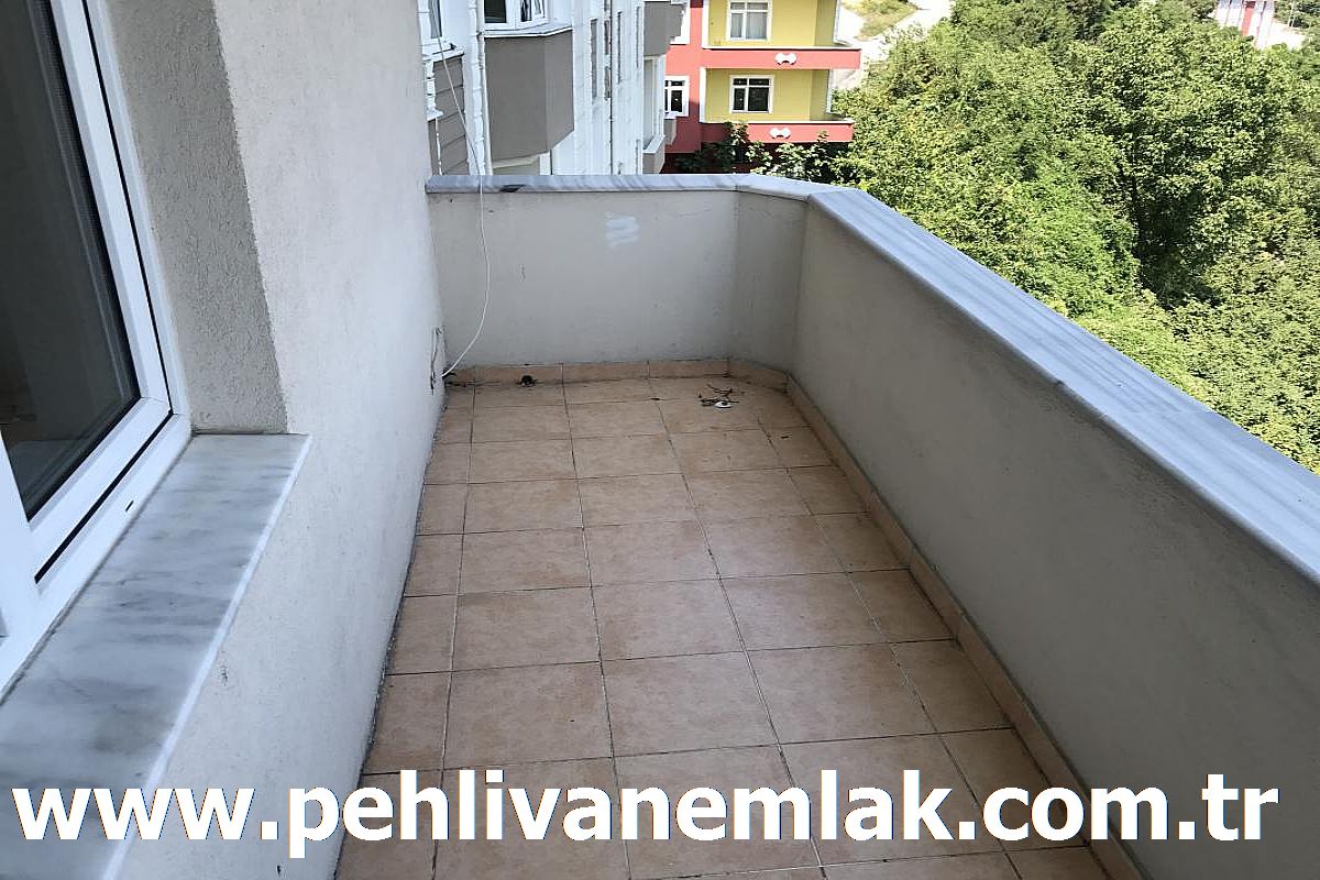 Alaplı Satılık Daire Alaplı Kiralık Daire Pehlivan Emlak