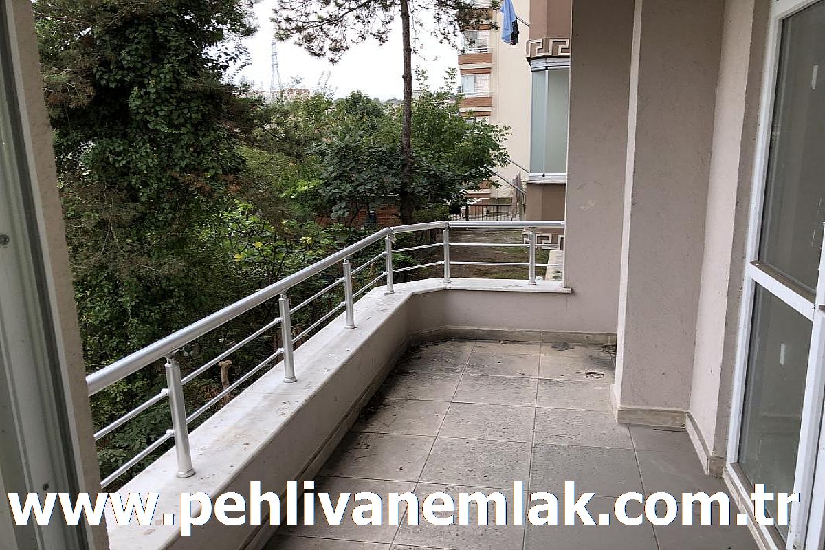 Alaplı Satılık Daire Alaplı Kiralık Daire Pehlivan Emlak Alaplı