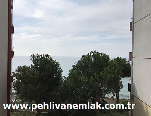 Hayalinizdeki Eve Bizimle Ulan
