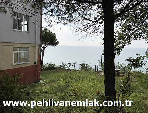 Hayalinizdeki Eve Bizimle Ulan