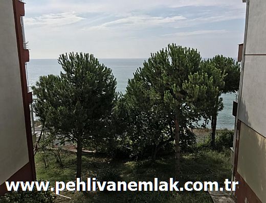 Hayalinizdeki Eve Bizimle Ulan