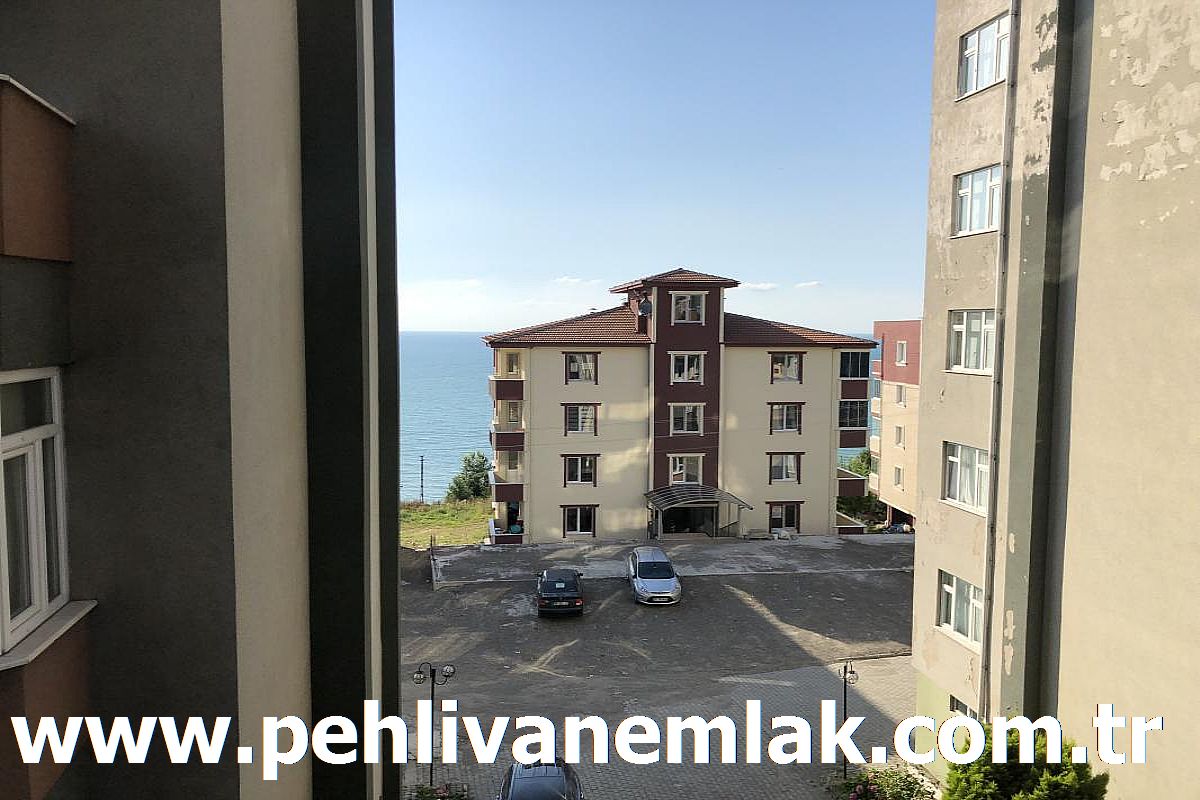 alapli satilik daire alapli kiralik daire pehlivan emlak alapli denizkent sitesinde kiralik daire