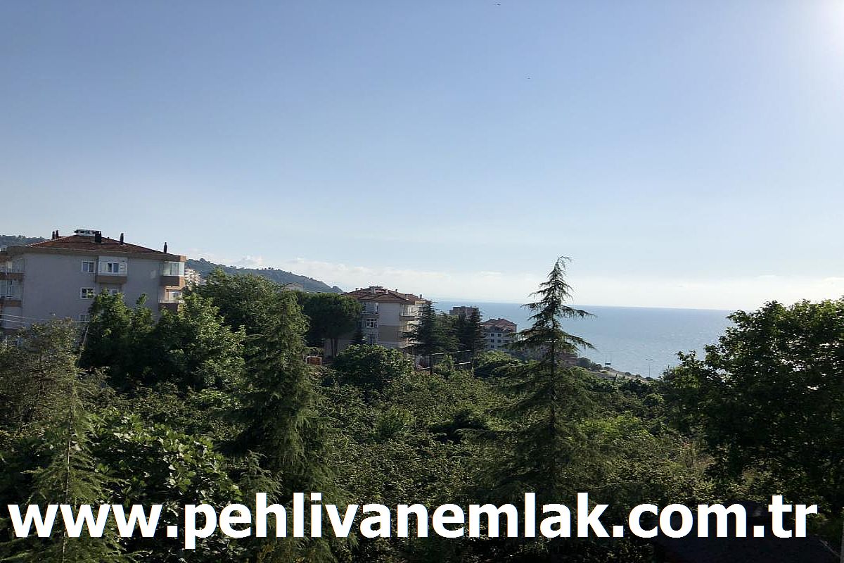 alapli satilik daire alapli kiralik daire pehlivan emlak alapli denizkent sitesinde kiralik daire