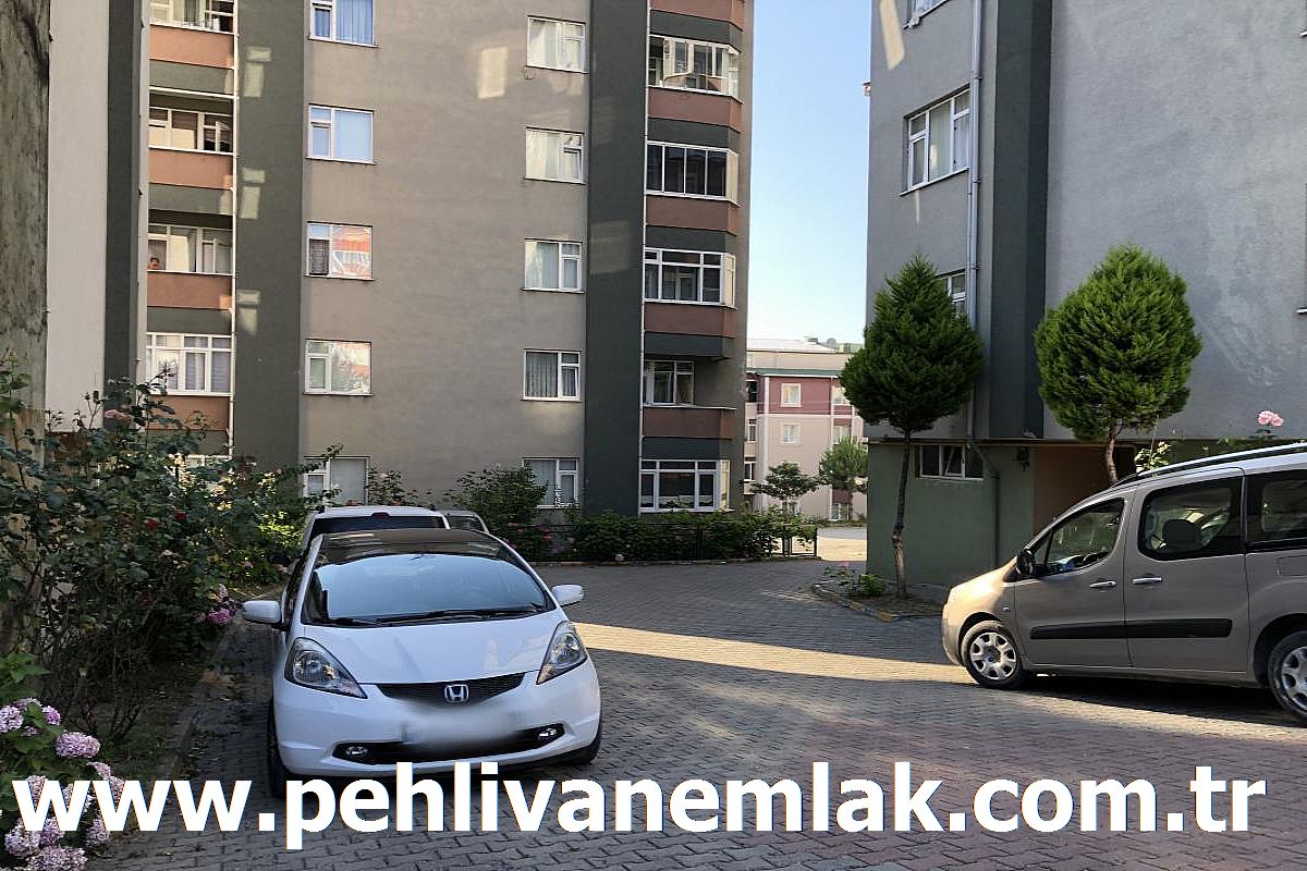 alapli satilik daire alapli kiralik daire pehlivan emlak alapli denizkent sitesinde kiralik daire
