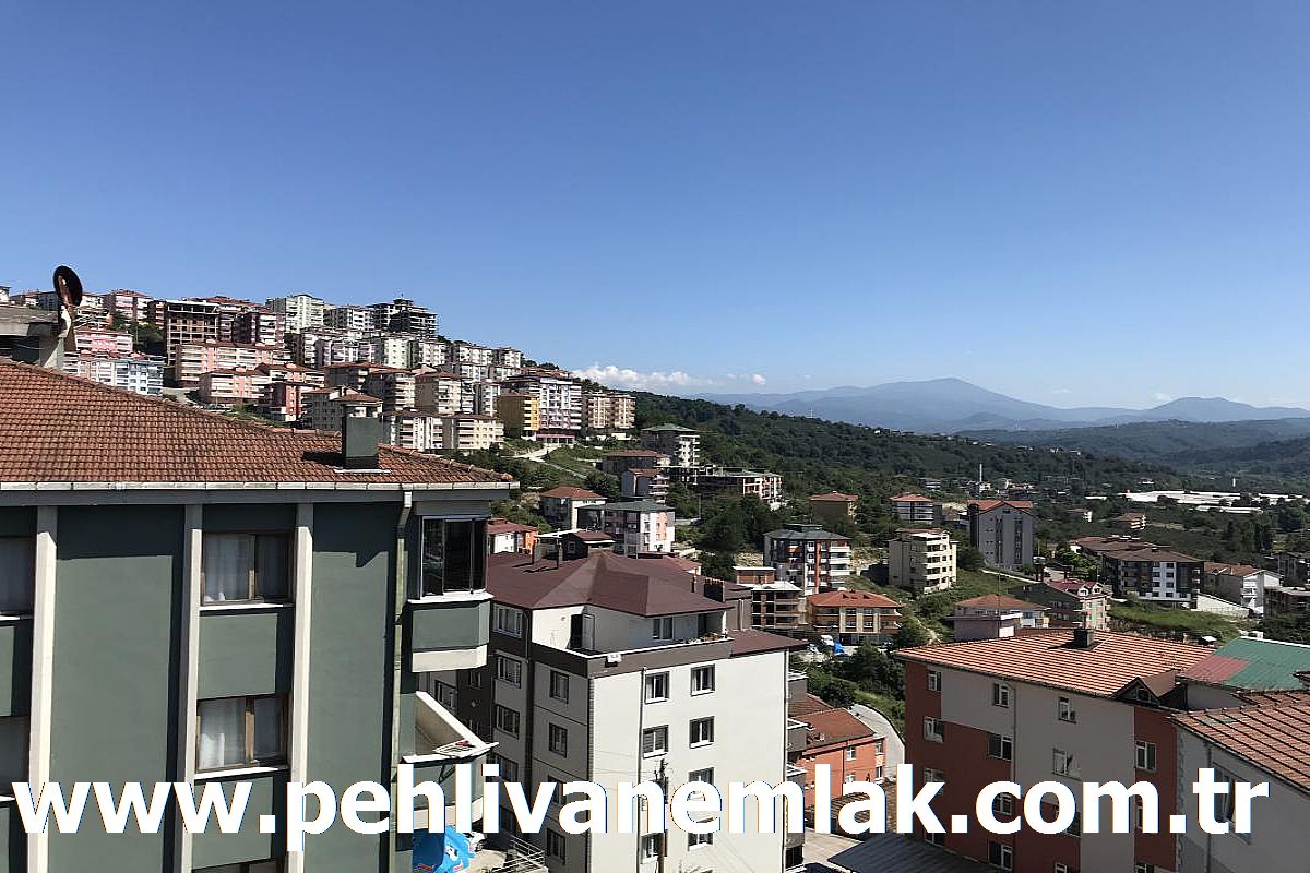 alapli satilik daire alapli kiralik daire pehlivan emlak alapli yedi evler luks yapili satilik cift daire