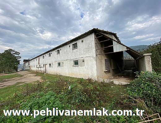 Alaplı Satılık Daire Alaplı Kiralık Daire Pehlivan Emlak