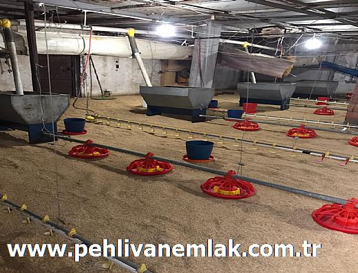 Hayalinizdeki Eve Bizimle Ula��n