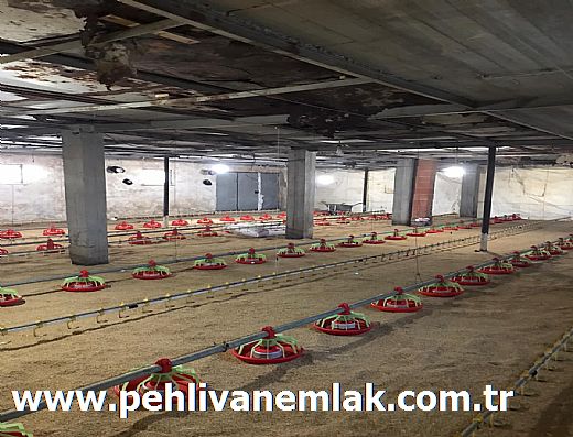 Hayalinizdeki Eve Bizimle Ula��n