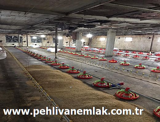 Hayalinizdeki Eve Bizimle Ula��n