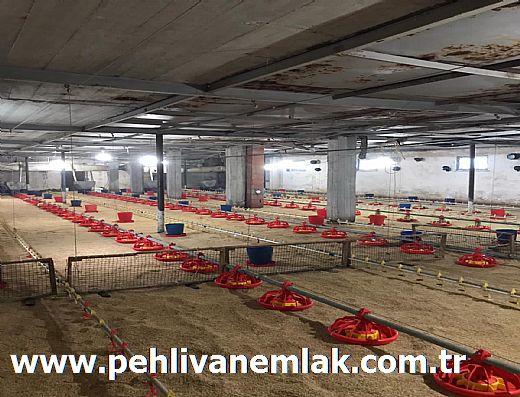 Hayalinizdeki Eve Bizimle Ula��n