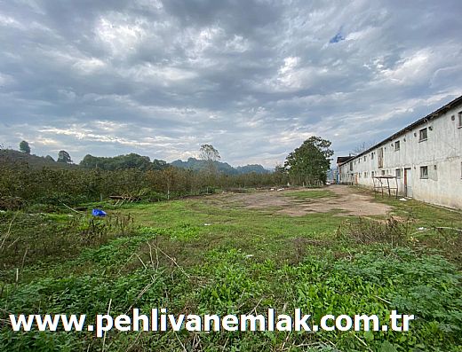 Hayalinizdeki Eve Bizimle Ula��n