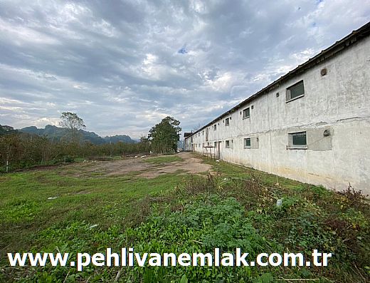 Hayalinizdeki Eve Bizimle Ula��n