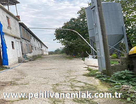 Hayalinizdeki Eve Bizimle Ula��n