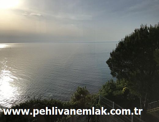 Hayalinizdeki Eve Bizimle Ulan