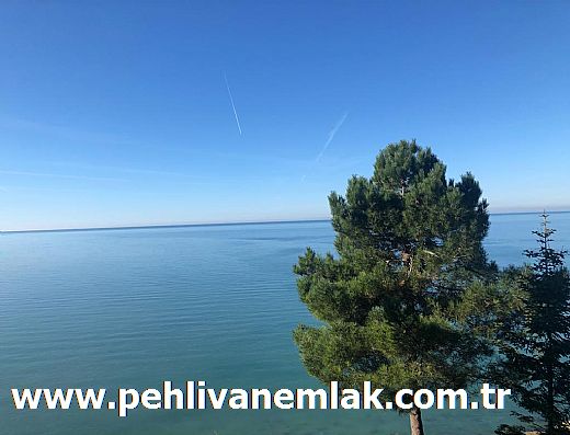 Hayalinizdeki Eve Bizimle Ulan