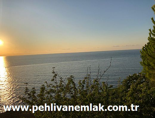 Hayalinizdeki Eve Bizimle Ulan