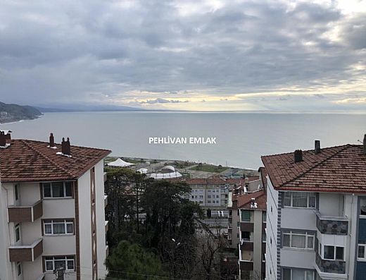 Alaplı Da Satılık Ev