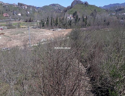 Hayalinizdeki Eve Bizimle Ulan