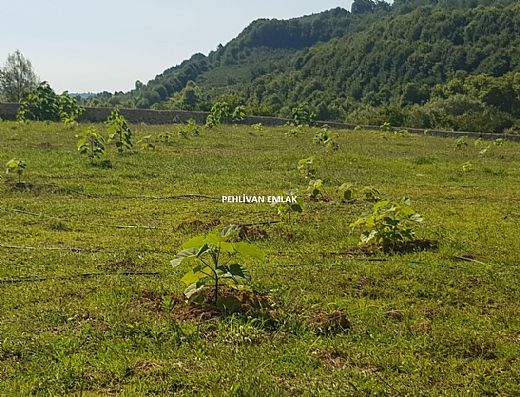 Hayalinizdeki Eve Bizimle Ulan