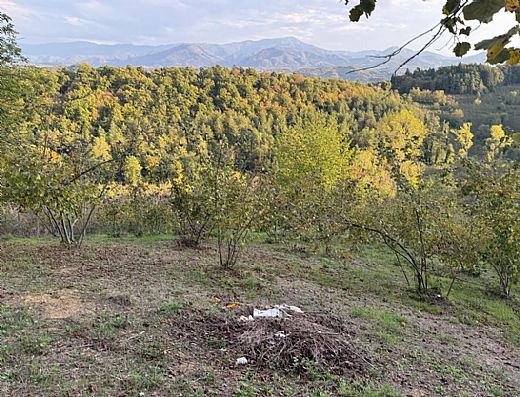Hayalinizdeki Eve Bizimle Ulan