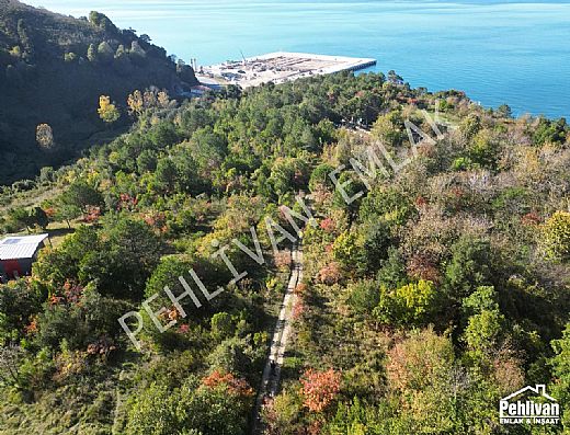 Hayalinizdeki Eve Bizimle Ulan