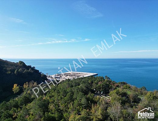 Hayalinizdeki Eve Bizimle Ulan