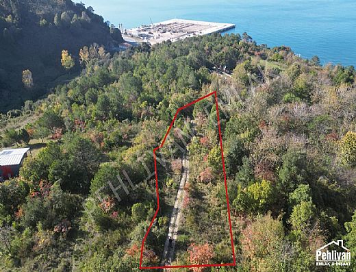 Alapl Satlk Daire - Alapl Kiralk Daire | Pehlivan Emlak