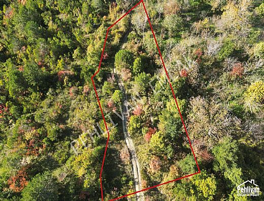 Hayalinizdeki Eve Bizimle Ulan