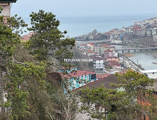 Alapl� Sat�l�k Daire - Alapl� Kiral�k Daire | Pehlivan Emlak