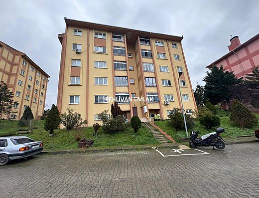 Alapl� Sat�l�k Daire - Alapl� Kiral�k Daire | Pehlivan Emlak