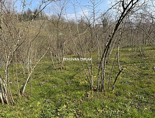 Hayalinizdeki Eve Bizimle Ula��n