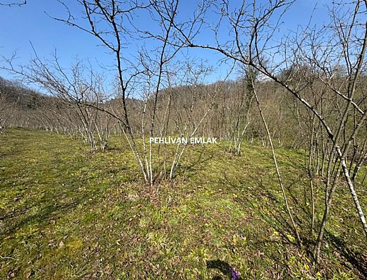 Hayalinizdeki Eve Bizimle Ula��n