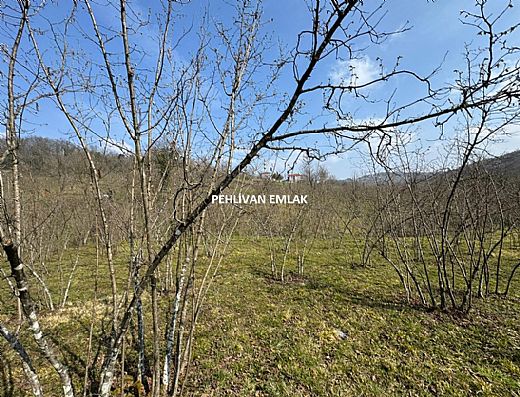 Hayalinizdeki Eve Bizimle Ula��n