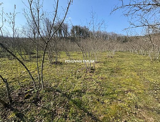 Hayalinizdeki Eve Bizimle Ula��n