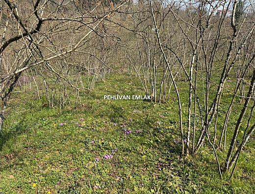 Hayalinizdeki Eve Bizimle Ula��n