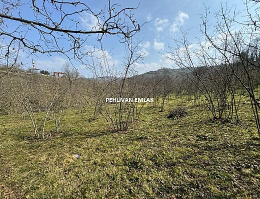 Hayalinizdeki Eve Bizimle Ula��n