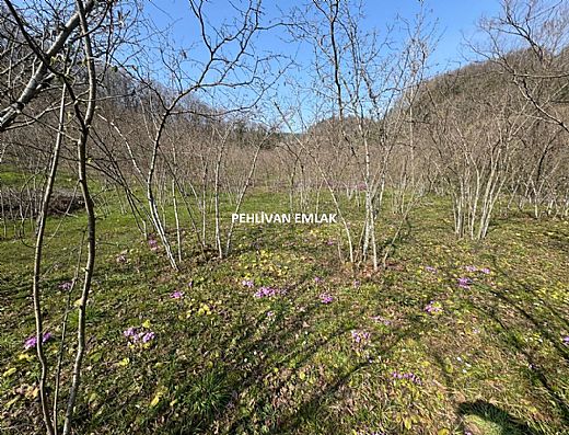 Hayalinizdeki Eve Bizimle Ula��n