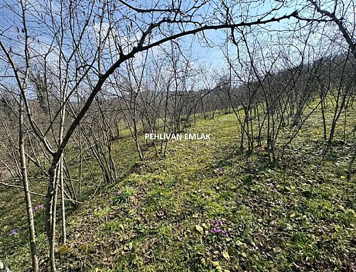 Hayalinizdeki Eve Bizimle Ula��n