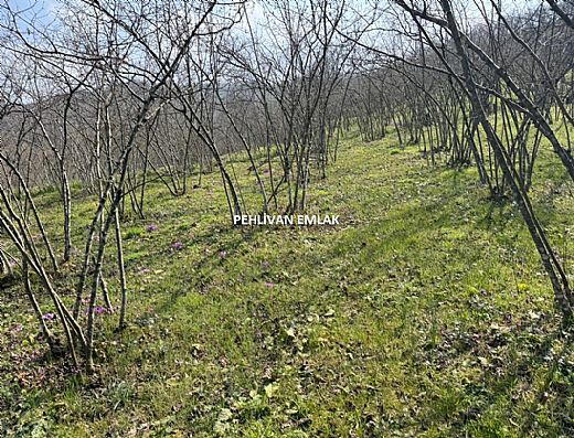 Hayalinizdeki Eve Bizimle Ula��n