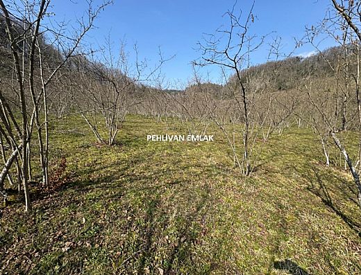 Hayalinizdeki Eve Bizimle Ula��n