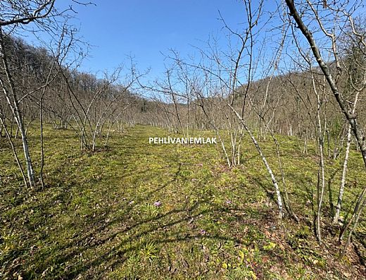 Alapl� Sat�l�k Daire - Alapl� Kiral�k Daire | Pehlivan Emlak