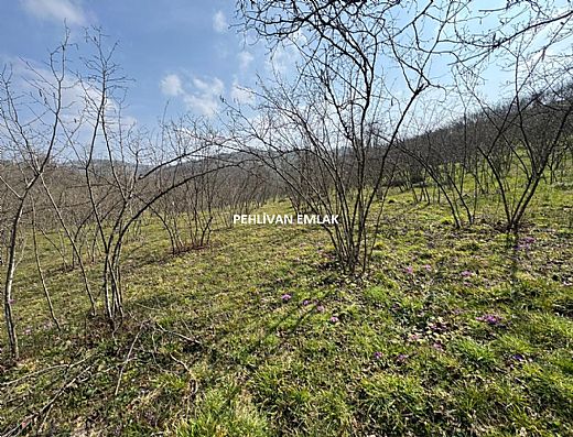 Hayalinizdeki Eve Bizimle Ula��n