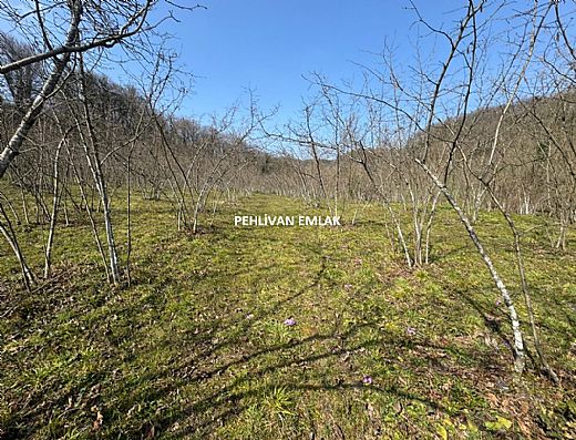 Hayalinizdeki Eve Bizimle Ula��n